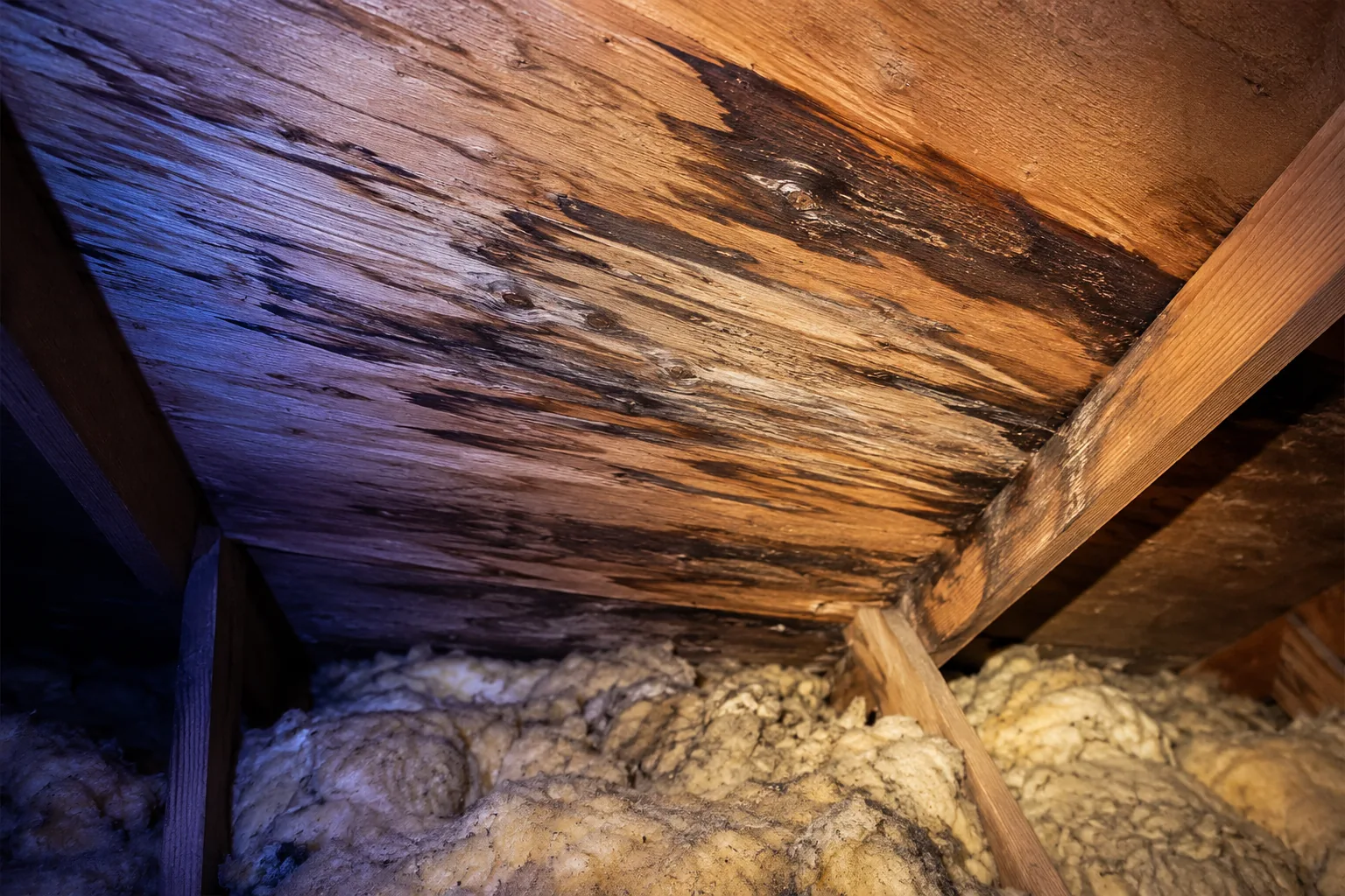Ice dam water damage on the underside of an attic roof deck